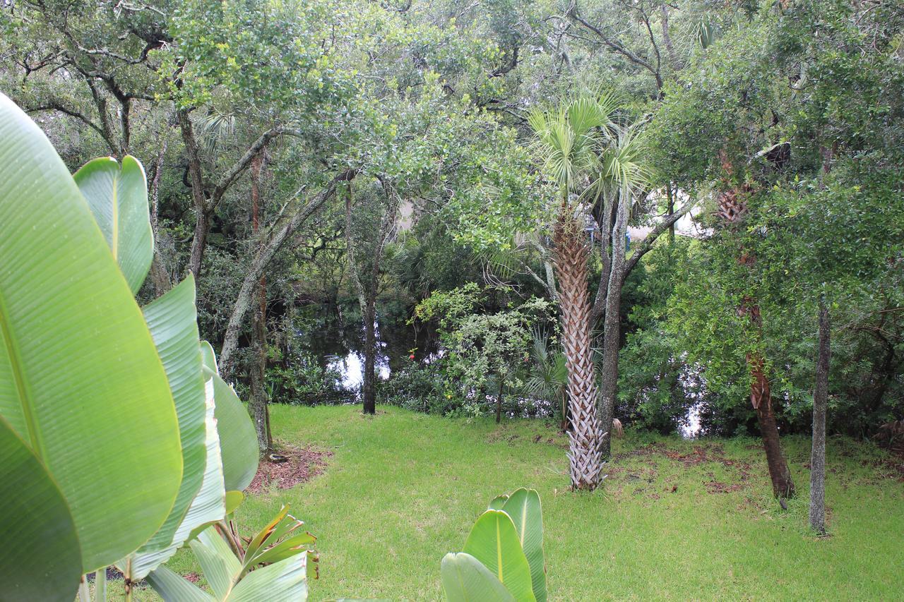 Treehouse Villa Tampa Exterior foto