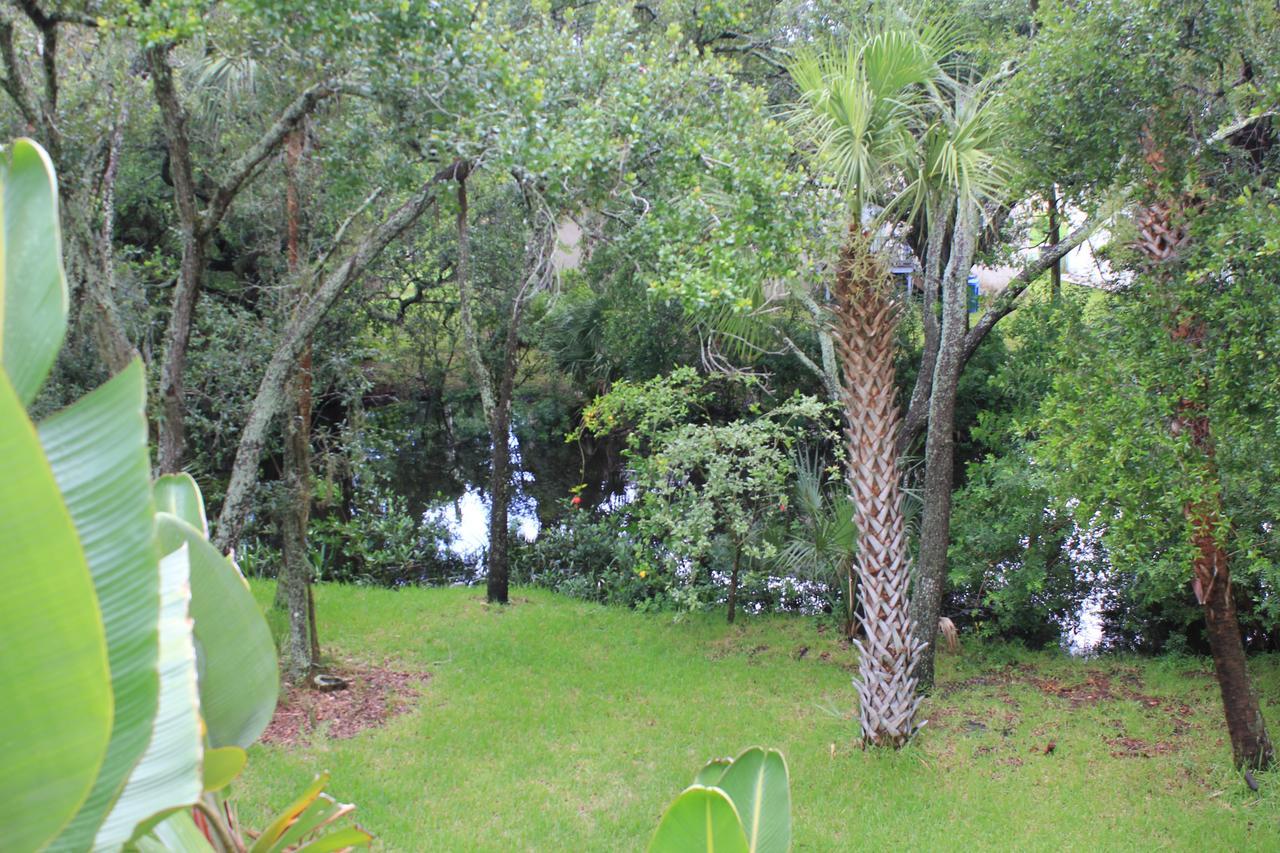 Treehouse Villa Tampa Exterior foto