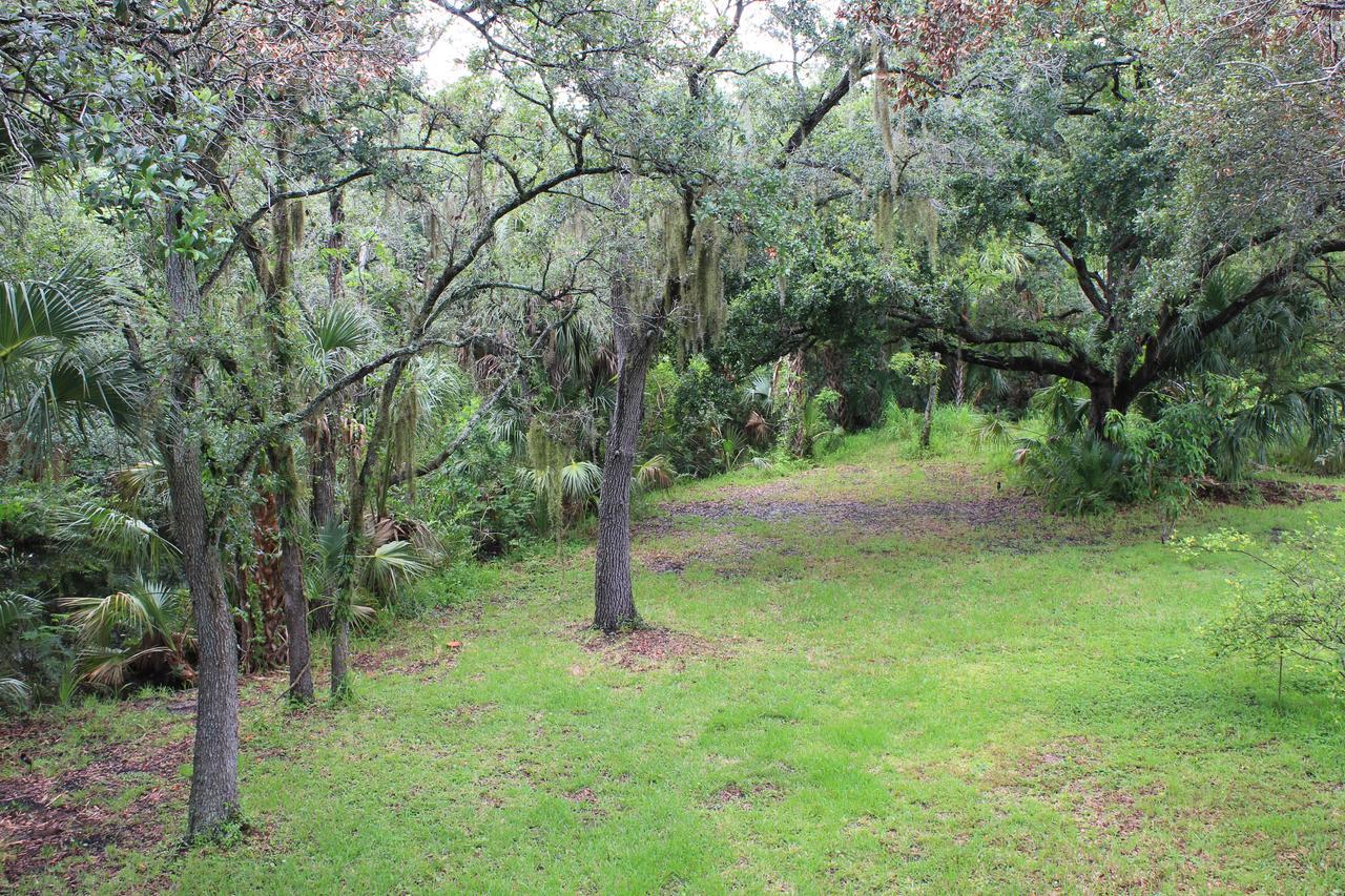 Treehouse Villa Tampa Exterior foto